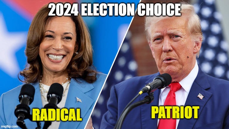 Simple choice | 2024 ELECTION CHOICE; PATRIOT; RADICAL | image tagged in trump,harris,election 2024,politics,conservatives,liberals | made w/ Imgflip meme maker