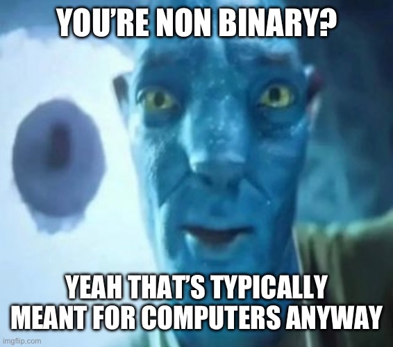 Avatar guy | YOU’RE NON BINARY? YEAH THAT’S TYPICALLY MEANT FOR COMPUTERS ANYWAY | image tagged in avatar guy | made w/ Imgflip meme maker