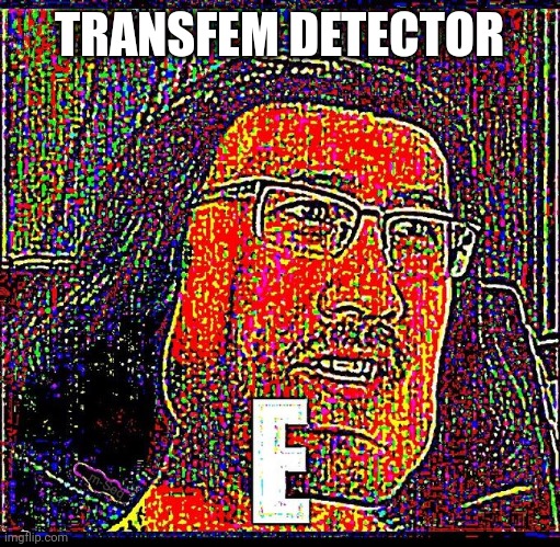 I am aware that this is a tad bit shitpost-esque, but I had an idea and couldn't realise it fully, so here goes. | TRANSFEM DETECTOR | image tagged in e | made w/ Imgflip meme maker