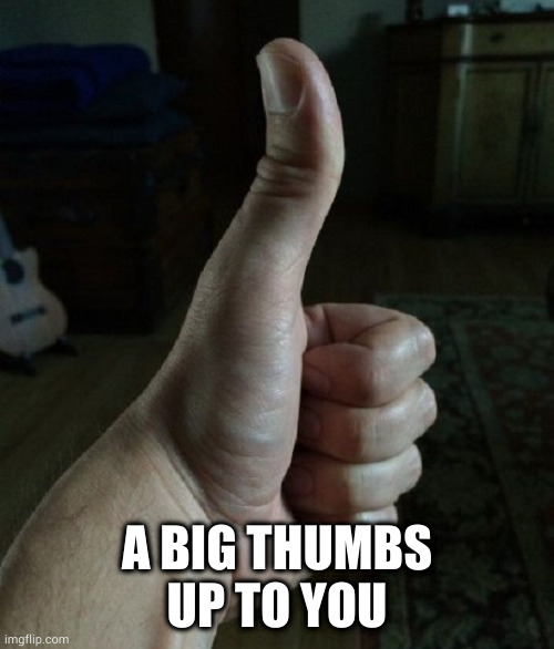 big thumbs up | A BIG THUMBS UP TO YOU | image tagged in big thumbs up | made w/ Imgflip meme maker