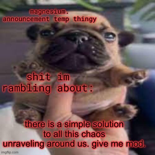 pug temp | there is a simple solution to all this chaos unraveling around us. give me mod. | image tagged in pug temp | made w/ Imgflip meme maker