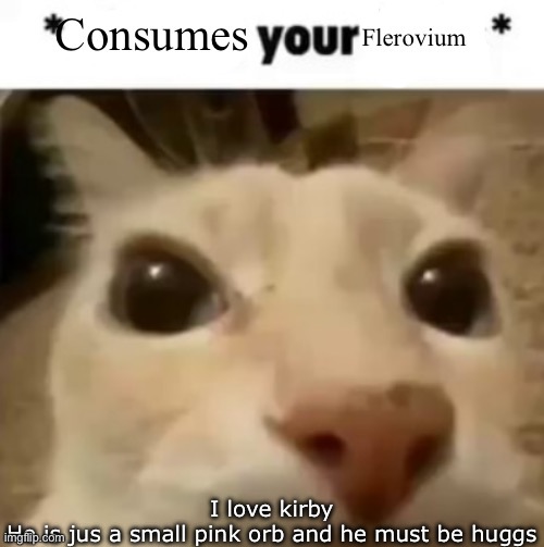 Where's the kirby stream blook was talking about ☠️ | I love kirby
He is jus a small pink orb and he must be huggs | image tagged in yakko consumes your flerovium | made w/ Imgflip meme maker