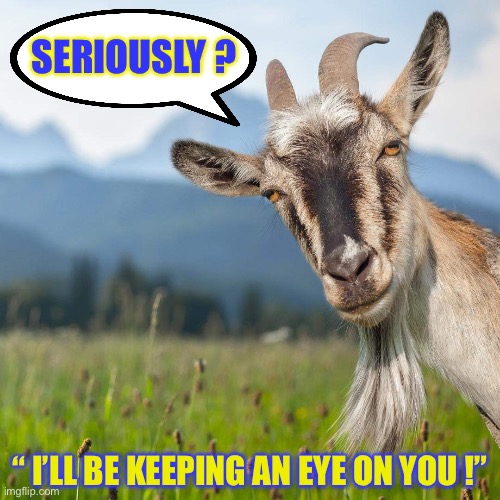 Seriously ???  : ) | SERIOUSLY ? “ I’LL BE KEEPING AN EYE ON YOU !” | image tagged in creepy condescending goat | made w/ Imgflip meme maker