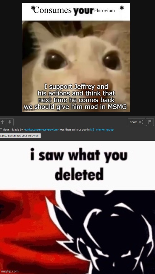 @Yakko | image tagged in i saw what you deleted | made w/ Imgflip meme maker