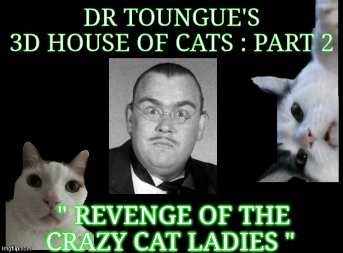 crazy cat ladies meme | DR TOUNGUE'S
3D HOUSE OF CATS : PART 2; " REVENGE OF THE CRAZY CAT LADIES " | image tagged in crazy cat lady | made w/ Imgflip meme maker