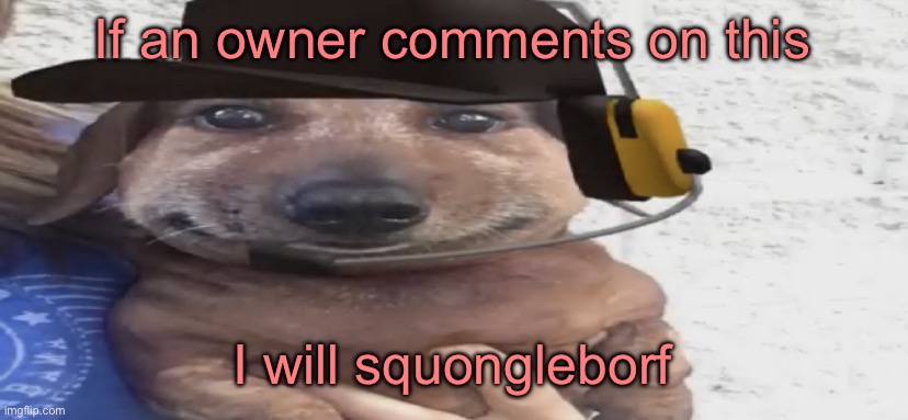 chucklenuts | If an owner comments on this; I will squongleborf | image tagged in chucklenuts | made w/ Imgflip meme maker