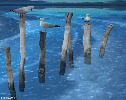 image tagged in gifs | made w/ Imgflip images-to-gif maker