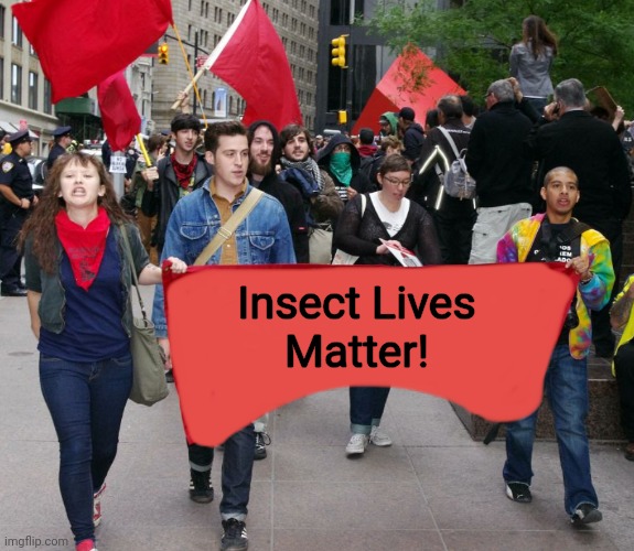 Beetles Are Beautiful | Insect Lives
Matter! | image tagged in you've gone to the dark side when | made w/ Imgflip meme maker