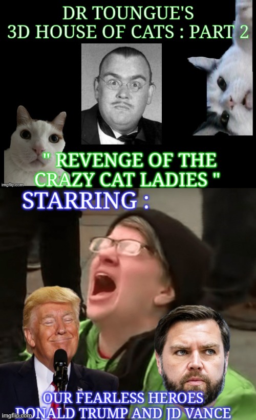 crazy cat ladies meme | image tagged in horror movie | made w/ Imgflip meme maker