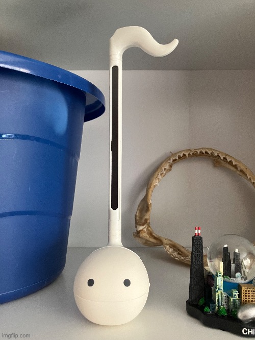 I got an Otamatone today | made w/ Imgflip meme maker