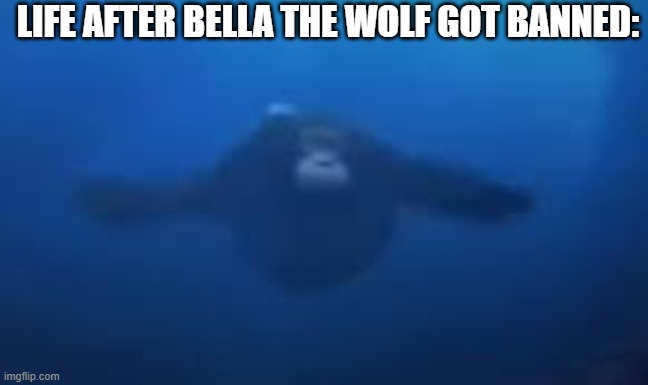 monke swimming | LIFE AFTER BELLA THE WOLF GOT BANNED: | image tagged in monke swimming | made w/ Imgflip meme maker