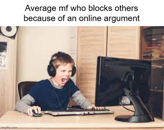 Imagine not being able to tolerate one's opinions so badly that you literally hide yourself from seeing them | Average mf who blocks others because of an online argument | image tagged in kid screaming at computer | made w/ Imgflip meme maker