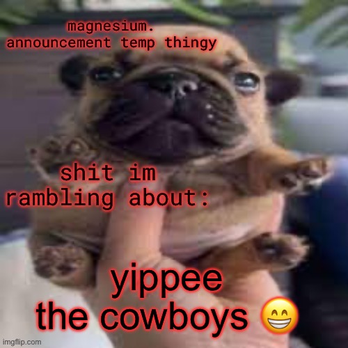 the football | yippee the cowboys 😁 | image tagged in pug temp | made w/ Imgflip meme maker