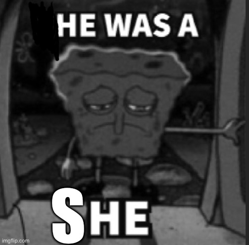 She was a he | S | image tagged in she was a he | made w/ Imgflip meme maker