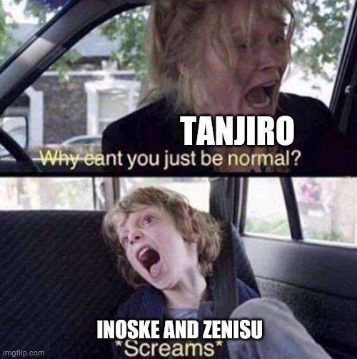 Why Can't You Just Be Normal | TANJIRO; INOSKE AND ZENISU | image tagged in why can't you just be normal | made w/ Imgflip meme maker