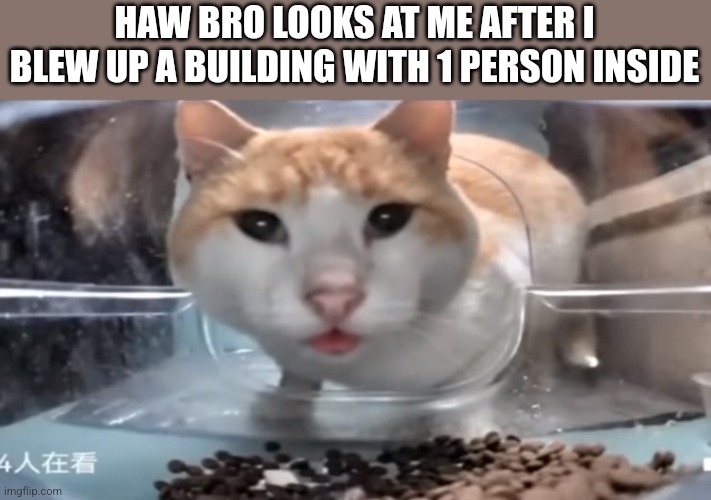 I had to | HAW BRO LOOKS AT ME AFTER I BLEW UP A BUILDING WITH 1 PERSON INSIDE | image tagged in m o | made w/ Imgflip meme maker