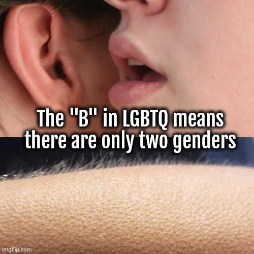 Whisper and Goosebumps | The "B" in LGBTQ means there are only two genders | image tagged in whisper and goosebumps | made w/ Imgflip meme maker