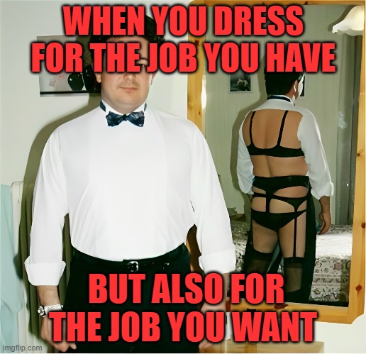 job | WHEN YOU DRESS FOR THE JOB YOU HAVE; BUT ALSO FOR THE JOB YOU WANT | image tagged in memes | made w/ Imgflip meme maker