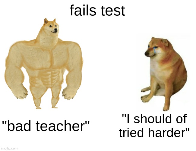 Buff Doge vs. Cheems | fails test; "bad teacher"; "I should of tried harder" | image tagged in memes,buff doge vs cheems | made w/ Imgflip meme maker