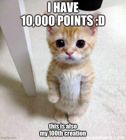 10k and | I HAVE 10,000 POINTS :D; this is also my 100th creation | image tagged in memes,cute cat | made w/ Imgflip meme maker