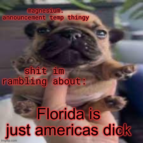 What's with these homies, dissing my girl? Why do they gotta front? What did we ever do to these guys That made them so violent? | Florida is just americas dick | image tagged in pug temp | made w/ Imgflip meme maker