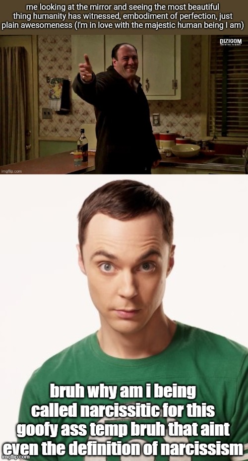 bruh why am i being called narcissitic for this goofy ass temp bruh that aint even the definition of narcissism | image tagged in self love is based,sheldon cooper | made w/ Imgflip meme maker