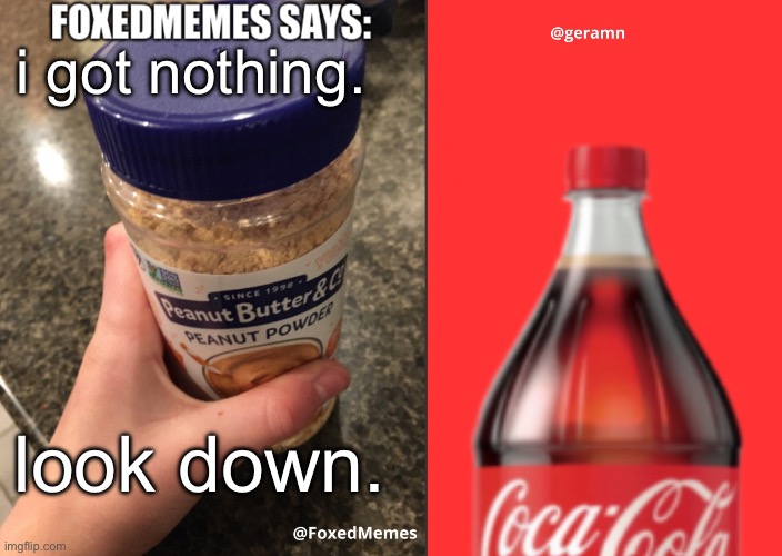 FoxedMemes and geramn template | i got nothing. PAY ATTENTION TO US! look down. | image tagged in foxedmemes and geramn template | made w/ Imgflip meme maker