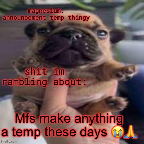 pug temp | Mfs make anything a temp these days 😭🙏 | image tagged in pug temp | made w/ Imgflip meme maker