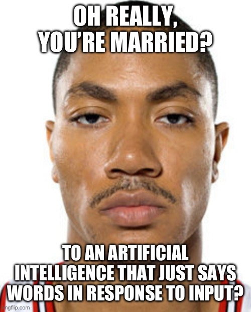 Derrick Rose Straight Face | OH REALLY, YOU’RE MARRIED? TO AN ARTIFICIAL INTELLIGENCE THAT JUST SAYS WORDS IN RESPONSE TO INPUT? | image tagged in derrick rose straight face | made w/ Imgflip meme maker