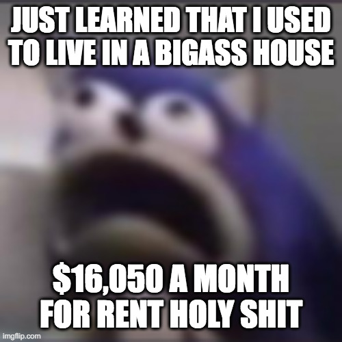 oh my fucking GOD | JUST LEARNED THAT I USED TO LIVE IN A BIGASS HOUSE; $16,050 A MONTH FOR RENT HOLY SHIT | image tagged in distress | made w/ Imgflip meme maker