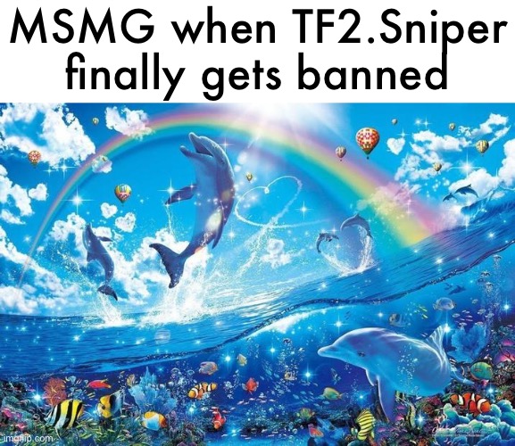 Happy dolphin rainbow | MSMG when TF2.Sniper finally gets banned | image tagged in happy dolphin rainbow | made w/ Imgflip meme maker