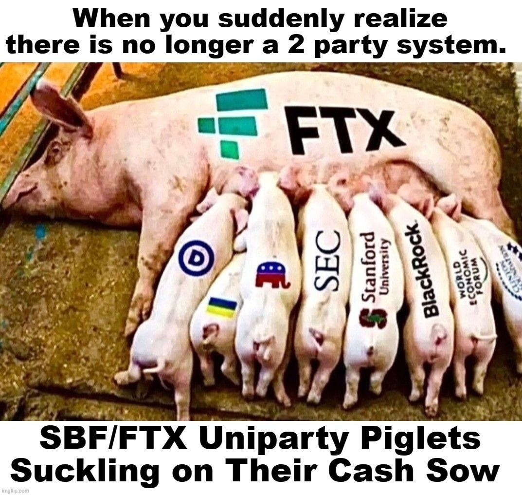 When you suddenly realize there is no longer a 2 party system. | image tagged in uniparty,piglets,cash cow,cash sow,government corruption,money laundering | made w/ Imgflip meme maker