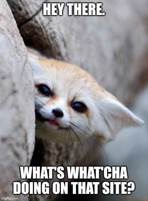 "Hey there..." | HEY THERE. WHAT'S WHAT'CHA DOING ON THAT SITE? | image tagged in hey there | made w/ Imgflip meme maker