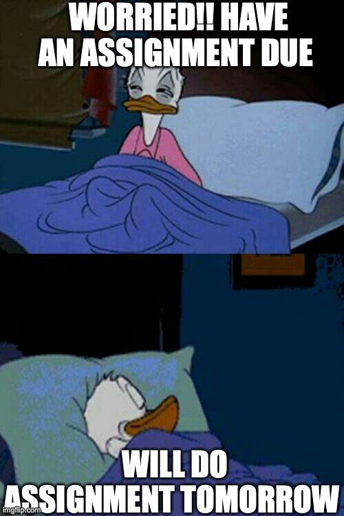 Assignments due meme | WORRIED!! HAVE AN ASSIGNMENT DUE; WILL DO ASSIGNMENT TOMORROW | image tagged in sleepy donald duck in bed | made w/ Imgflip meme maker