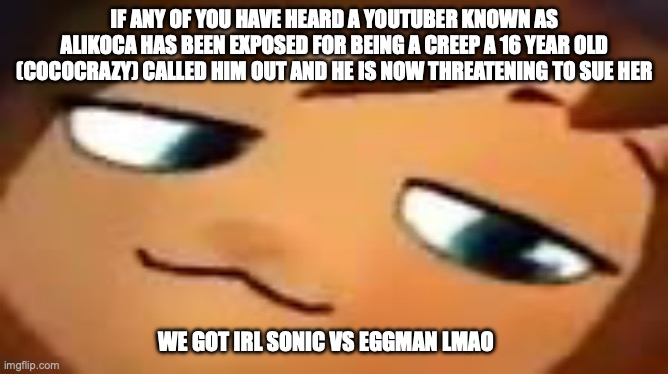 smug hat kid.mp4 | IF ANY OF YOU HAVE HEARD A YOUTUBER KNOWN AS ALIKOCA HAS BEEN EXPOSED FOR BEING A CREEP A 16 YEAR OLD (COCOCRAZY) CALLED HIM OUT AND HE IS NOW THREATENING TO SUE HER; WE GOT IRL SONIC VS EGGMAN LMAO | image tagged in smug hat kid mp4 | made w/ Imgflip meme maker