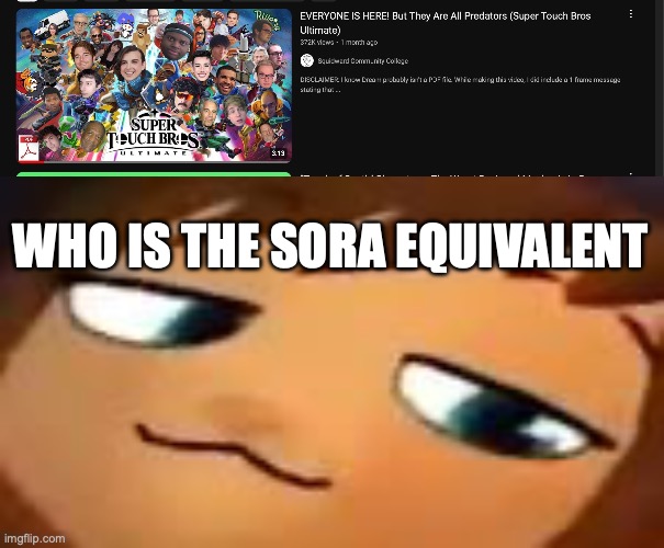 WHO IS THE SORA EQUIVALENT | image tagged in smug hat kid mp4 | made w/ Imgflip meme maker
