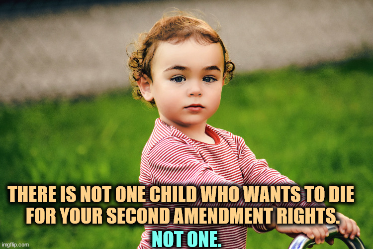 THERE IS NOT ONE CHILD WHO WANTS TO DIE 
FOR YOUR SECOND AMENDMENT RIGHTS. NOT ONE. | image tagged in guns,second amendment,school shootings,school shooting,children,child | made w/ Imgflip meme maker