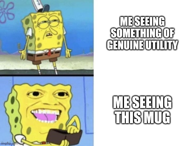 SPONGEBOB NO THE SPONGEBOB TAKE MY MONEY | ME SEEING SOMETHING OF GENUINE UTILITY ME SEEING THIS MUG | image tagged in spongebob no the spongebob take my money | made w/ Imgflip meme maker