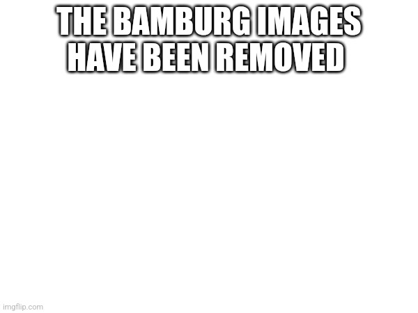 THE BAMBURG IMAGES HAVE BEEN REMOVED | made w/ Imgflip meme maker