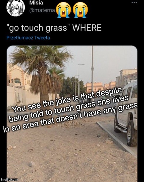 lets make a trend of adding unnecessary captions | You see the joke is that despite being told to touch grass she lives in an area that doesn’t have any grass | made w/ Imgflip meme maker