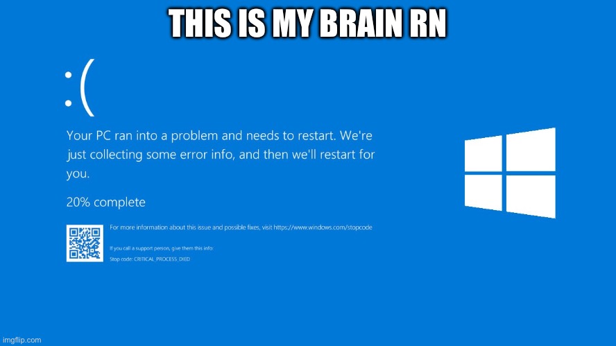 Bluescreen | THIS IS MY BRAIN RN | image tagged in bluescreen | made w/ Imgflip meme maker