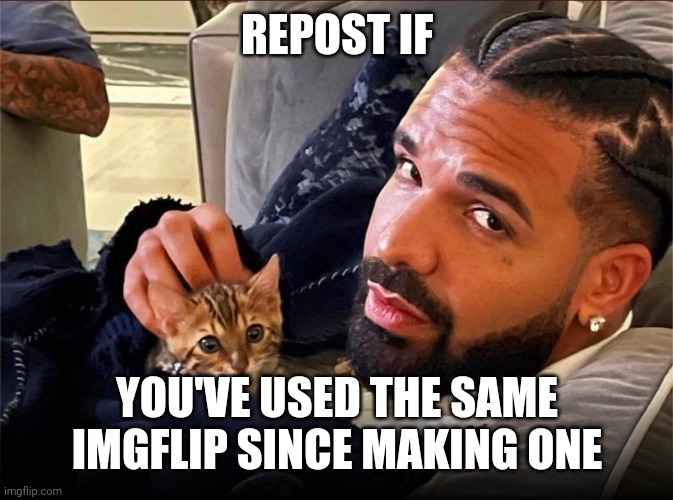 Preferably at least a year old | REPOST IF; YOU'VE USED THE SAME IMGFLIP SINCE MAKING ONE | image tagged in drizzy kitten | made w/ Imgflip meme maker