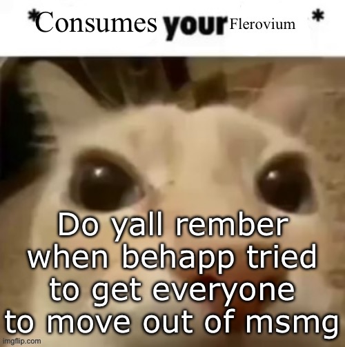 Yakko consumes your flerovium | Do yall rember when behapp tried to get everyone to move out of msmg | image tagged in yakko consumes your flerovium | made w/ Imgflip meme maker