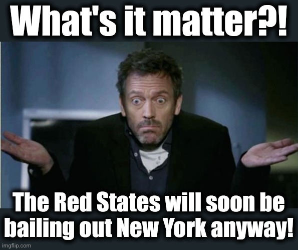 SHRUG | What's it matter?! The Red States will soon be
bailing out New York anyway! | image tagged in shrug | made w/ Imgflip meme maker