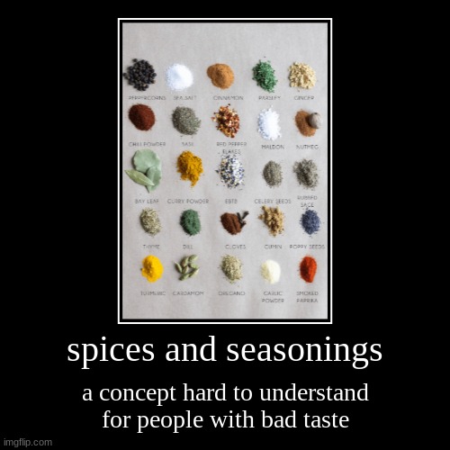 y'all know who I'm talking about | spices and seasonings | a concept hard to understand for people with bad taste | image tagged in funny,demotivationals,spice,seasoning,food,cooking | made w/ Imgflip demotivational maker