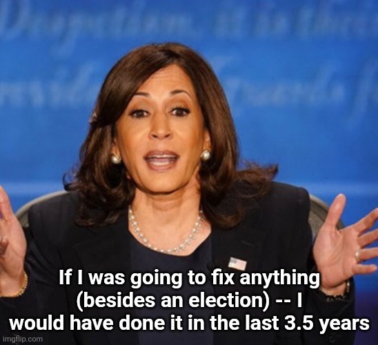 Kamala Harris | If I was going to fix anything (besides an election) -- I would have done it in the last 3.5 years | image tagged in kamala harris | made w/ Imgflip meme maker