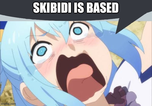 Aqua says | SKIBIDI IS BASED | image tagged in aqua says | made w/ Imgflip meme maker