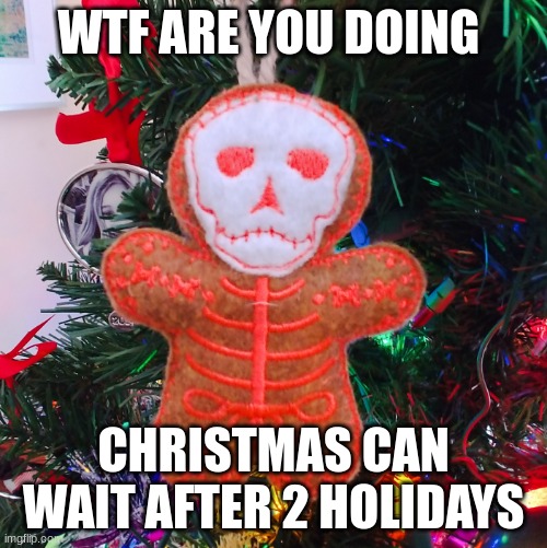 that other holiday is thanksgiving | WTF ARE YOU DOING; CHRISTMAS CAN WAIT AFTER 2 HOLIDAYS | image tagged in ginger dead man,dia de los muertos,mexican | made w/ Imgflip meme maker