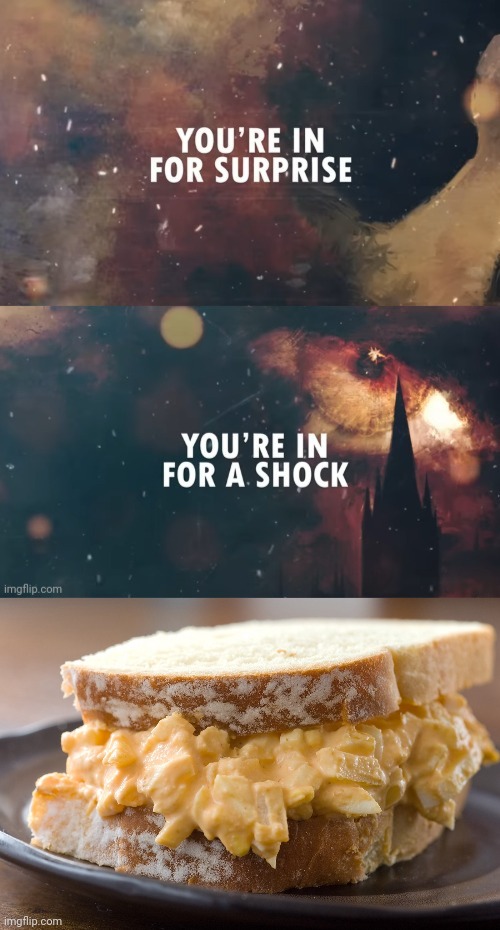 image tagged in you're in for surprise you're in for a shock,egg salad sandwich | made w/ Imgflip meme maker