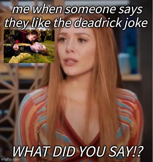 its NOT funny! | me when someone says they like the deadrick joke; WHAT DID YOU SAY!? | image tagged in wandavision what did you say,harry potter | made w/ Imgflip meme maker